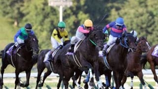 【盛岡・かきつばた賞】中央5勝馬ゴールドギアが移籍後初勝利…高橋悠「先頭に立ってトボけた」