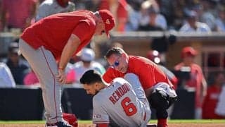 【MLB】“野戦病院”エ軍は「呪われているかも」　連日の主砲負傷…米記者も落胆隠せず