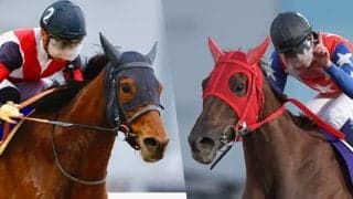 JRA所属の重賞4勝馬VS南関の女王 スパーキングレディーC注目馬3頭を紹介