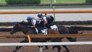 イクスプロージョンなど、函館記念1週前追い切り速報/栗東トレセンニュース