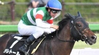 名牝サンビスタの仔が重賞初Vへ 母ゆかりの中京舞台プロキオンSに挑戦