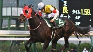 【函館記念想定】ユニコーンライオン、マイネルウィルトスなど14頭