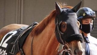 充実期迎えた7歳馬 プロキオンSで“10度目の正直”目指す