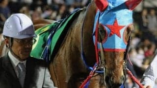 距離短縮は大得意のタガノビューティー プロキオンSで重賞タイトルをつかむ