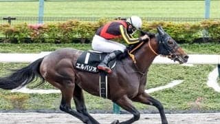 ドレフォン産駒待望のJRAダート重賞初Vなるか プロキオンSにエルバリオ参戦