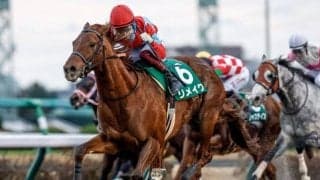 【プロキオンS出走馬・騎手確定】リメイク＆川田将雅騎手、タガノビューティー＆石橋脩騎手など16頭