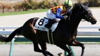 七夕賞は過去2戦2勝の須貝尚介厩舎 テーオーソラネルで参戦