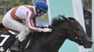 プロキオンSはエーピーインディ系に強さ 末脚自慢のフルムらに要注意だ