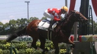 【新馬/中京5R】ルージュスタニングが鮮やかに抜け出す