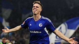 ホッフェンハイム、シャルケから昨季11Gのバルターを完全移籍で獲得！