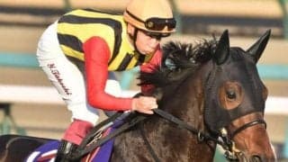 【マカオJCT】素質は重賞級!? ヴェルテンベルクが自己条件で必勝期す