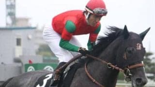 福島芝はディープ系に要注意 11Rはオンリーオピニオンの逃げ切りだ