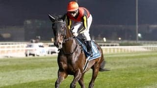 休養中のシャフリヤール 札幌記念に向け再来週にも競馬場入厩