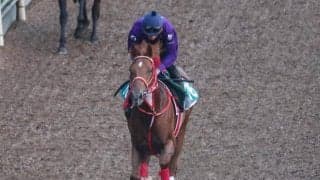 マイルGI馬半弟 vs 米G1馬の仔 “2億円ホース”同士がデビュー戦で激突