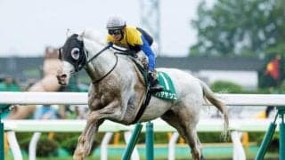 5億円馬ドーブネや連覇を狙う白毛ハヤヤッコなど 函館記念想定22頭＆騎手