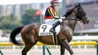 バスターコールやロータスワンドなど 函館2歳S想定18頭＆騎手