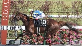 プロキオンＳは「コースの傾向」を見るべし　血統的視点で意外なデータも