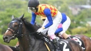 【七夕賞予想】季節適性が重要!? 夏の名物ハンデ重賞は4頭の伏兵に注目