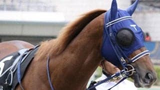 【函館8R】今度は展開利あり!? ヤングワールドの反撃だ