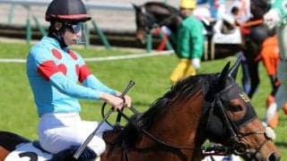 北斗特別は地力上位クラシックステップが巻き返す