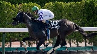 【マリーンS結果】ペプチドナイルが逃げ切ってオープン連勝！