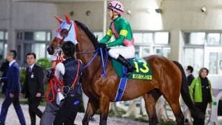 【プロキオンS予想】近走成績に要注意！ 高いスピード能力が求められるダート短距離重賞