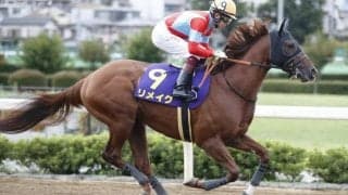 【プロキオンS前日オッズ】リメイクが2.2倍で1番人気