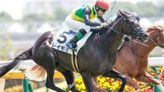 中京8R出走のレイモミが予後不良に 右第1指関節脱臼を発症