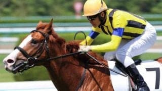 【シンガポールTC賞予想】前走好時計V 3歳フルメタルボディーが連勝だ