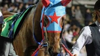 【プロキオンS予想】ブリンカー効果でレースぶり向上 悲願の重賞初Vへ