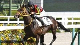 【七夕賞予想】1番人気馬は苦戦ぎみ 難解なサマー2000シリーズ開幕戦