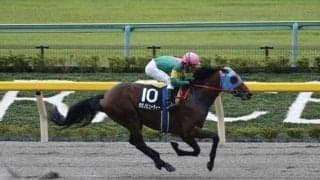 【プロキオンS予想】4年ぶりの中京開催 瞬発力よりも先行力がポイント！