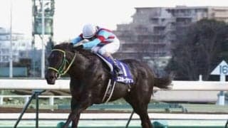 池江調教師が目を見張るインビジブルセルフ「雄大な馬体で、ダイナミックな走り」