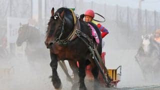 【ばんえい十勝】長澤幸太騎手が地方通算1000勝達成…「次の1勝目指して頑張る」