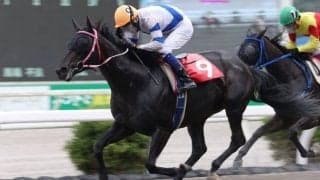 【高知・ヴェガ特別】キープイットシンポが準重賞V…赤岡「馬の力を信じて乗った」