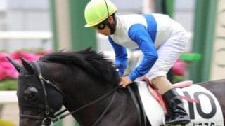 【彦星賞予想】前走はスロー+外枠に泣く 巻き返しに期待