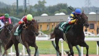 【JRA・WIN5】本日のWIN5は的中54票、配当827万1490円