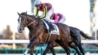 【函館記念】ハヤヤッコ、ローシャムパークらが登録