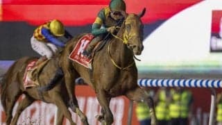 2700万円から世界の頂点に セレクトセール出身馬はこの1年も大活躍！