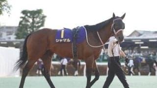 プロキオンSでシャマル除外など 9日の出来事一覧/函館・福島・中京
