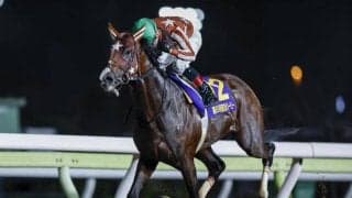 【JDD枠順確定】無敗三冠かかるミックファイアは6枠6番、兵庫CSで6馬身差圧勝のミトノオーは6枠7番