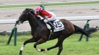 【福島8R】小林美駒が鮮やかな逃げ切り…フィールザオーラを勝利に導く