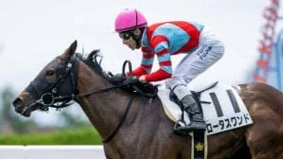 世代最初のJRA重賞・函館2歳S、今年で最後のJDDなど/今週の競馬界の見どころ