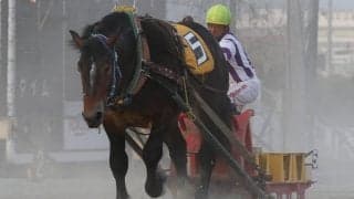 【ばんえい十勝】阿部武臣騎手が地方通算2000勝…「あと1勝は気にせず騎乗した」