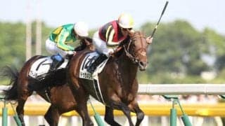 最終世代迎えるドゥラメンテ産駒 セレクトセール登場の顔ぶれは？