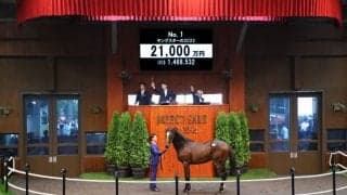 この2年でG1馬8頭を輩出！日本最大のセレクトセール2023が開幕…上場番号1番 キズナ産駒が2億1000万円で落札