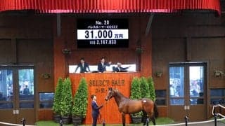 兄ジャスティンパレスのシルバーステート産駒は3億1000万円で落札 セレクトセール2023