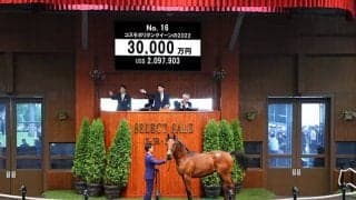 近親に英G1インターナショナルS覇者 コスモポリタンクイーンの2022は3億円で落札