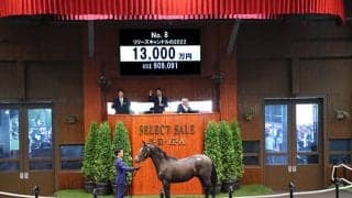 仏G1マルセルブーサック賞覇者の仔 1億3000万円でダノックス落札