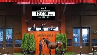【セレクトセール2023】サウジアラビアRC覇者コマンドラインの半妹は1億2000万円 インターホースが落札